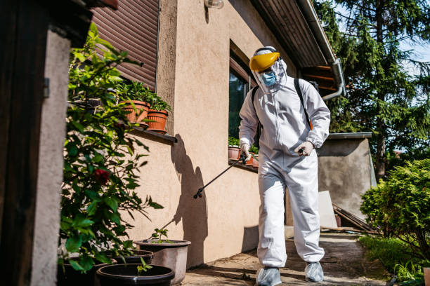 Best Rat Extermination Near Me  in Travis Ranch, TX