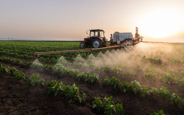 Best Mosquito Control Services  in Travis Ranch, TX