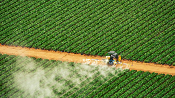 Best Pest Removal Services  in Travis Ranch, TX