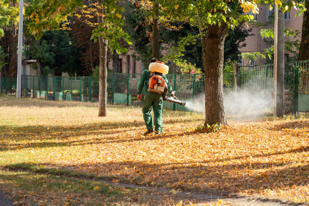 Best Pest Prevention Services  in Travis Ranch, TX